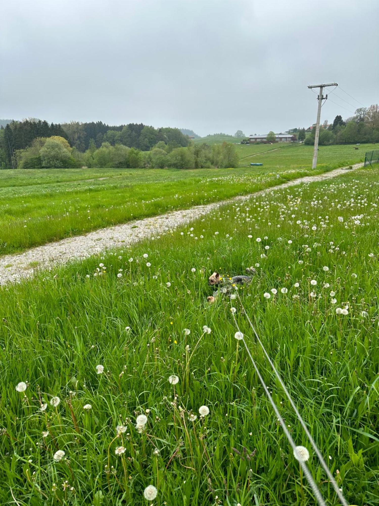 Ferienwohnung Am Jacobsweg Hohenpeissenberg Bagian luar foto
